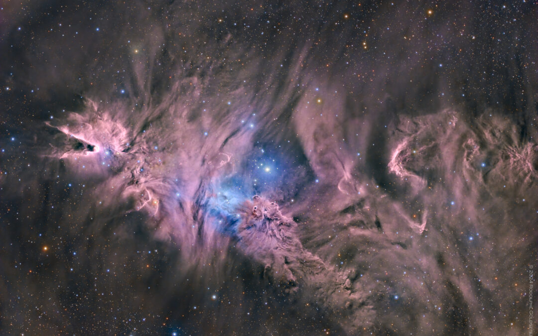 NGC 2264 – Christmas tree & Cone Nebula
