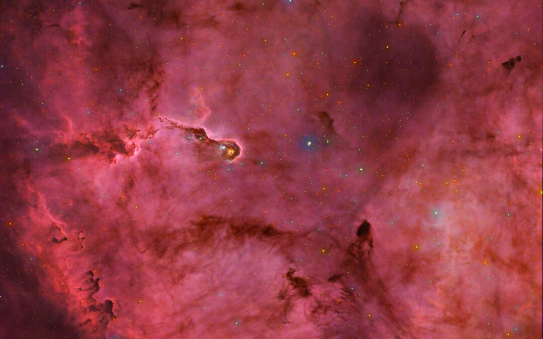 IC 1396 (Trompe d’éléphant) en LHaRGB