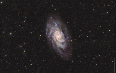 Galaxie du Triangle (M 33) revisitée en LHaRGB