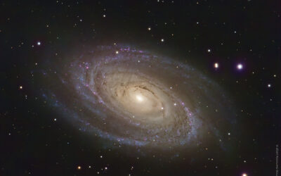 M 81 la galaxie de Bode en LRGB