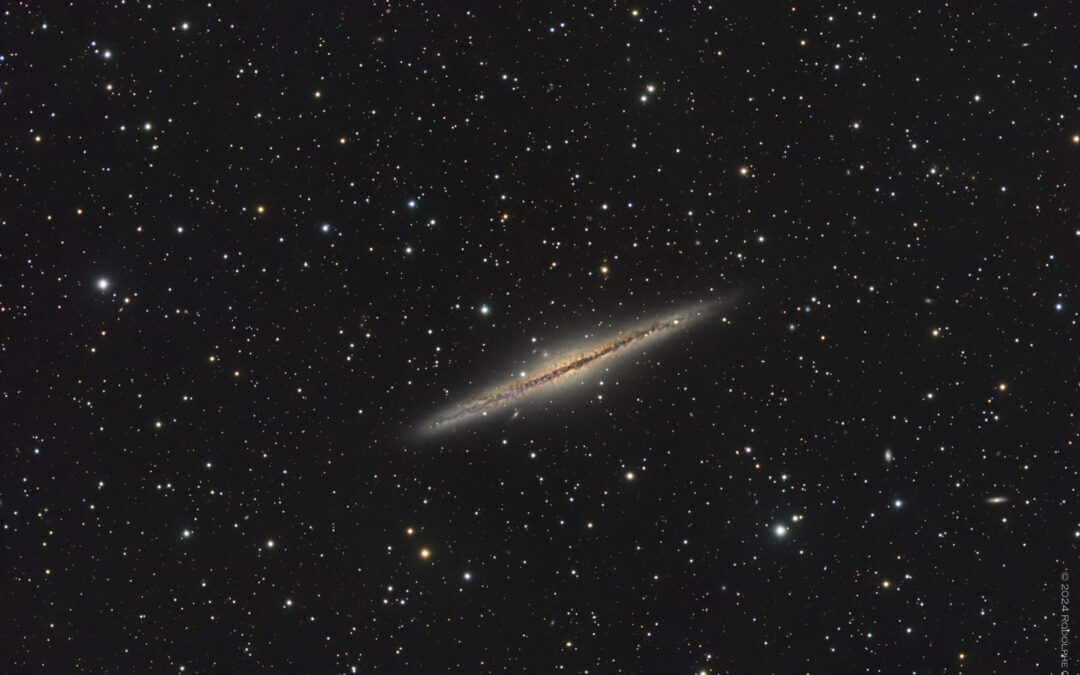 NGC 891 – une tranche de galaxie en LRGB