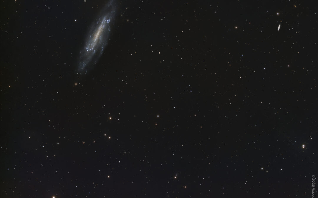 NGC 4236 – une galaxie faible dans le Dragon (LRGB)