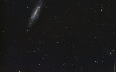 NGC 4236 – une galaxie faible dans le Dragon (LRGB)