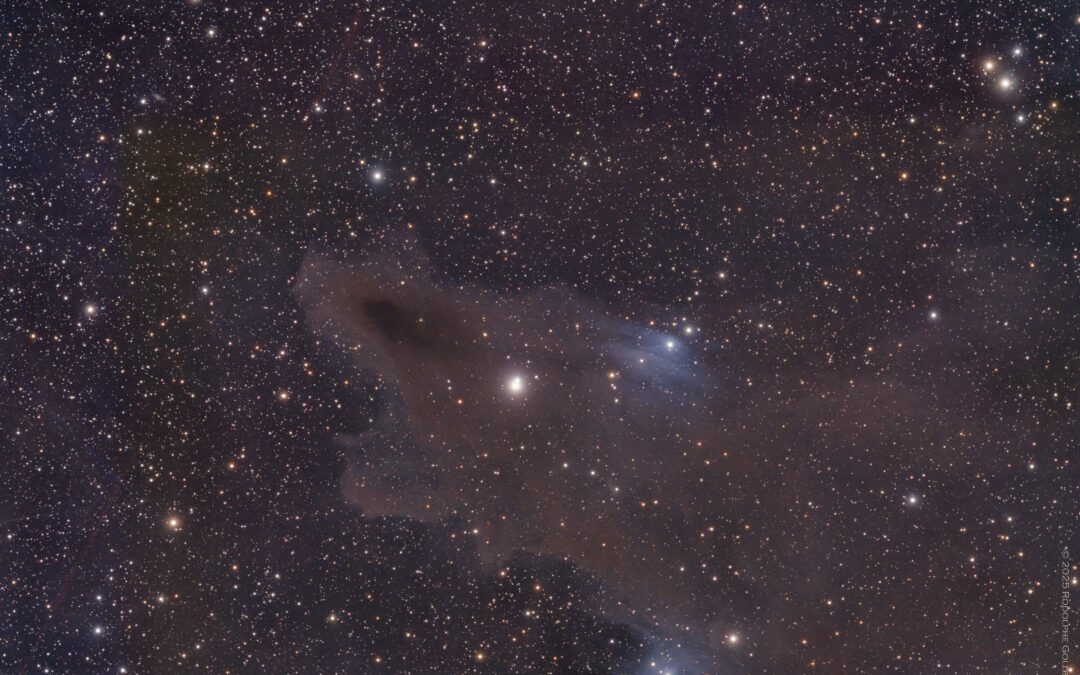 La nébuleuse du Requin (LDN 1235) en RGB