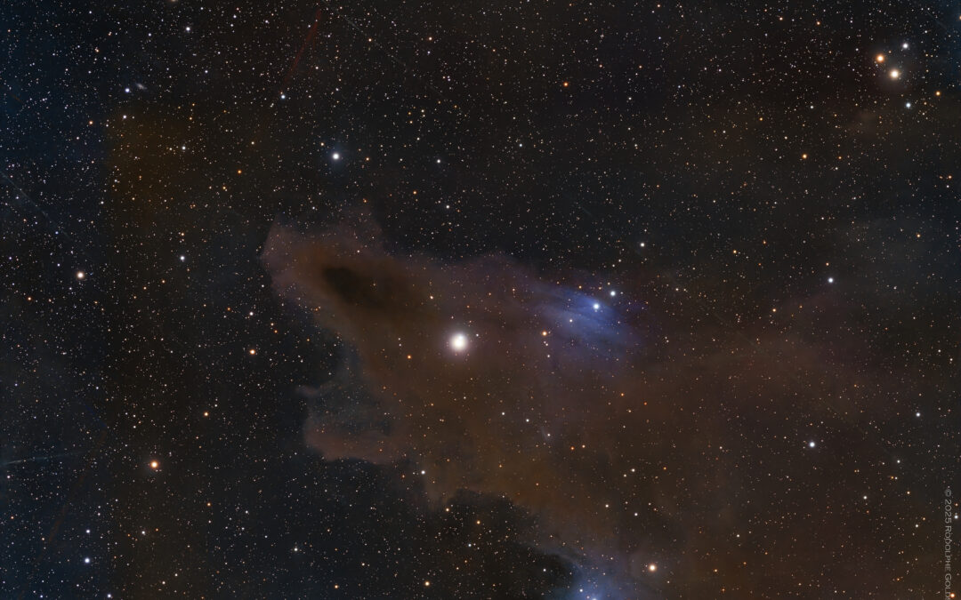 La nébuleuse du Requin (LDN 1235) en RGB