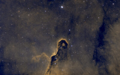 La trompe essaye de gober IC 1396