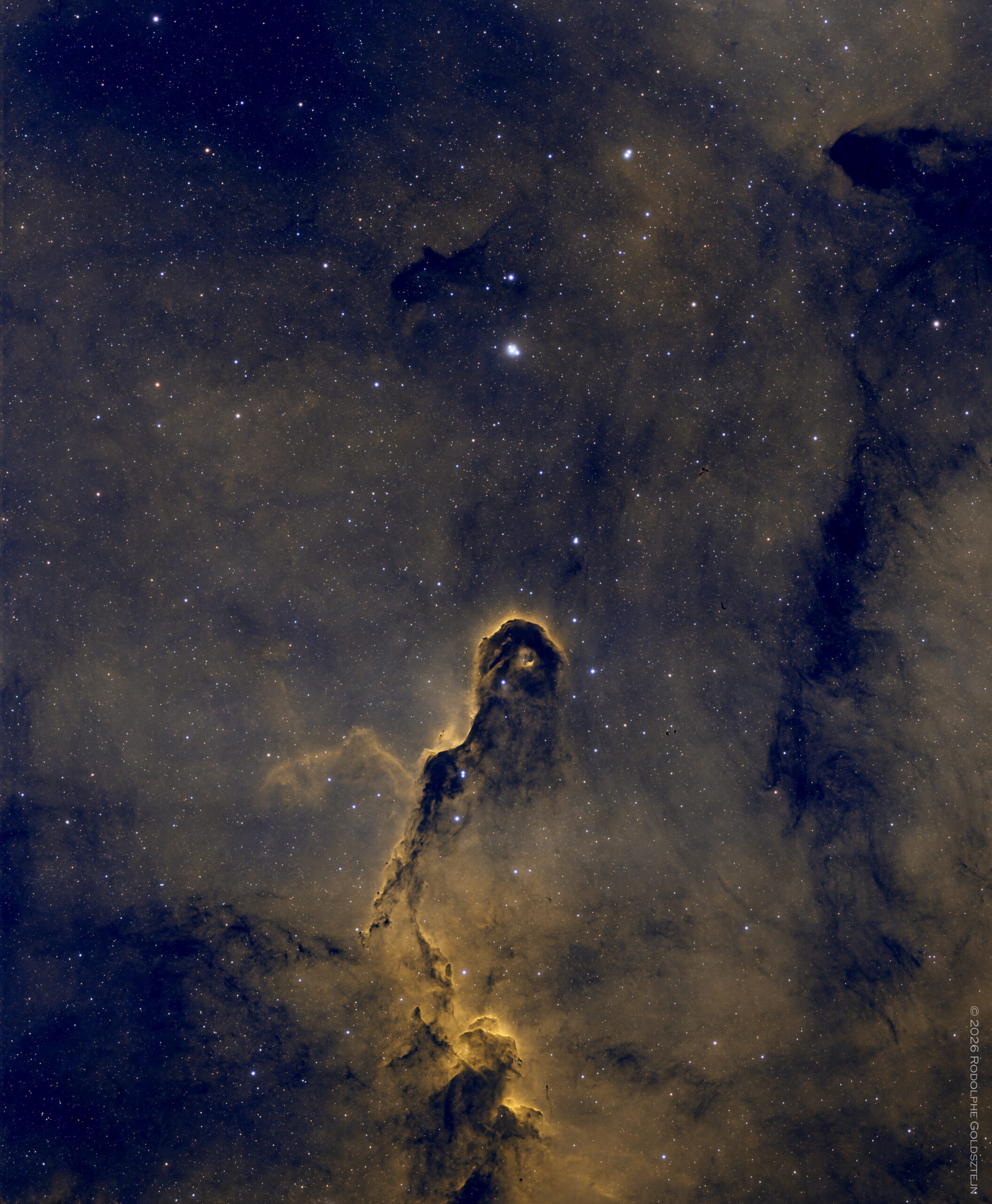 IC 1396 sho 20 janvier 2026