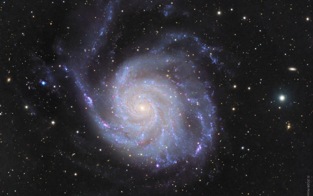 M 101 – la galaxie du Moulinet “Pinwheel” dans la Grande Ourse