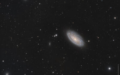 M 88, dans la Chevelure de Bérénice