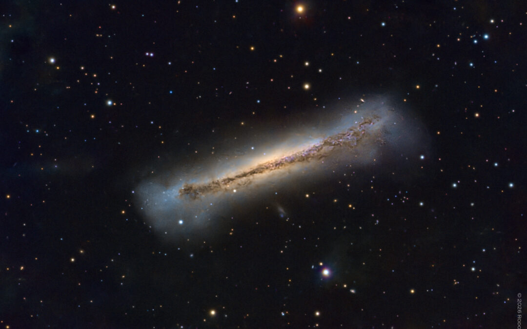 NGC 3628 – La galaxie du Hamburger dans le Lion