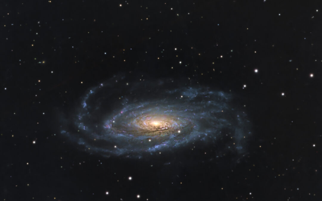 NGC 5033 – La galaxie du Crabe, dans les Chiens de Chasse
