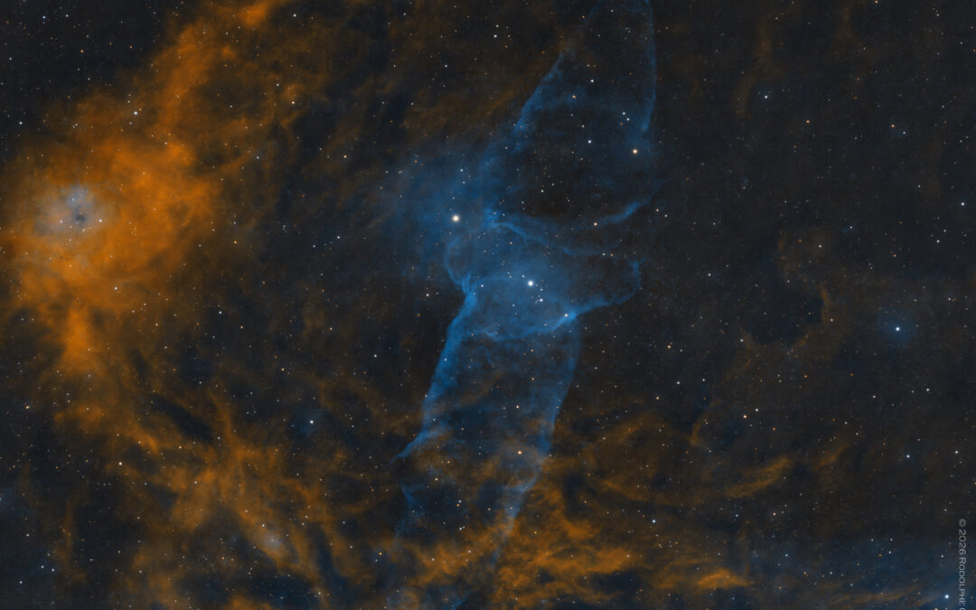 Sh 2-179 – la nébuleuse du Calamar, dans Céphée