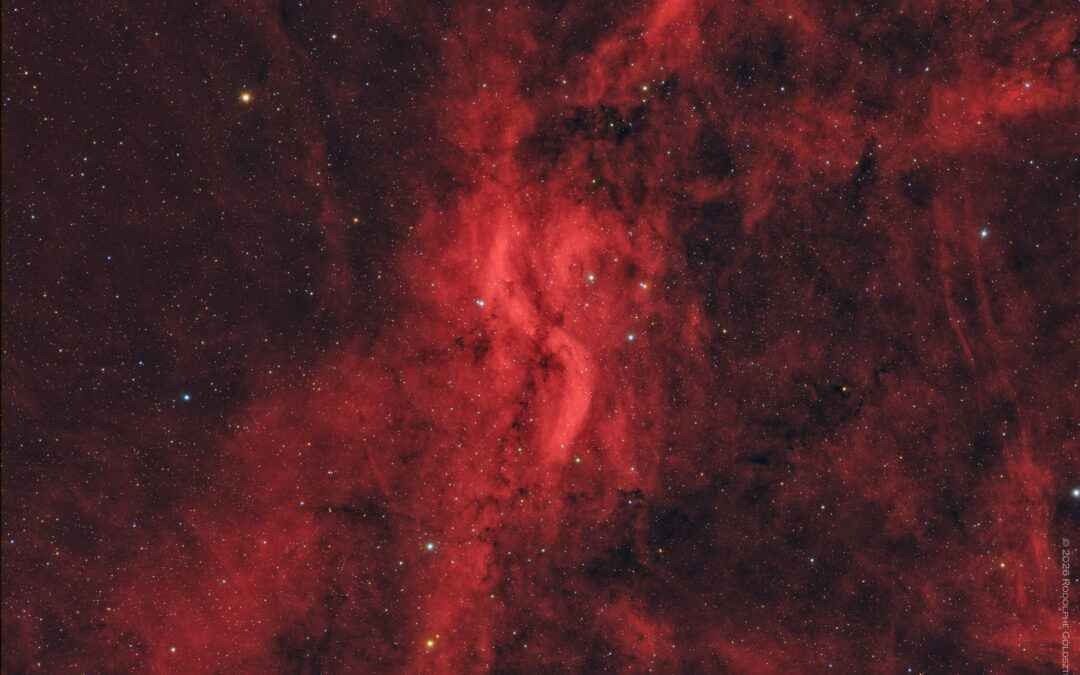 DWB 111, ou “Propeller Nebula” dans le Cygne